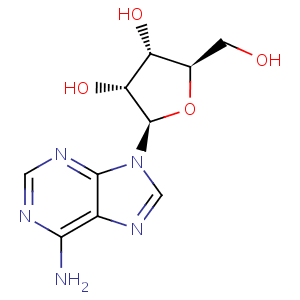Vitamin B8 - adenozin